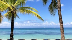 On the beach, beach massages, windsurfing, beach bar