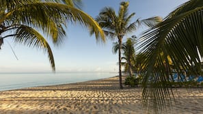On the beach, beach massages, windsurfing, beach bar