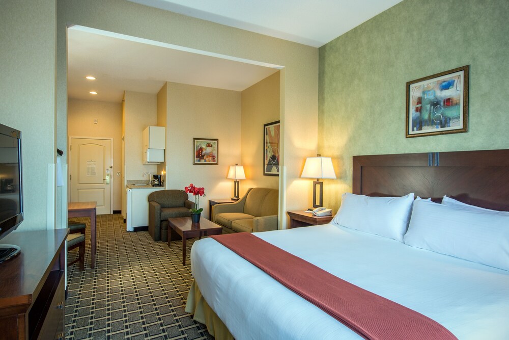 Room, Holiday Inn Express & Suites Youngstown N (Warren/Niles), an IHG Hotel