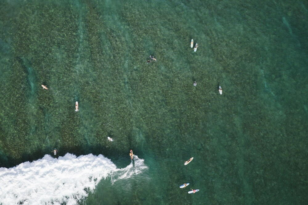 Surfing/boogie boarding, Turtle Bay Resort