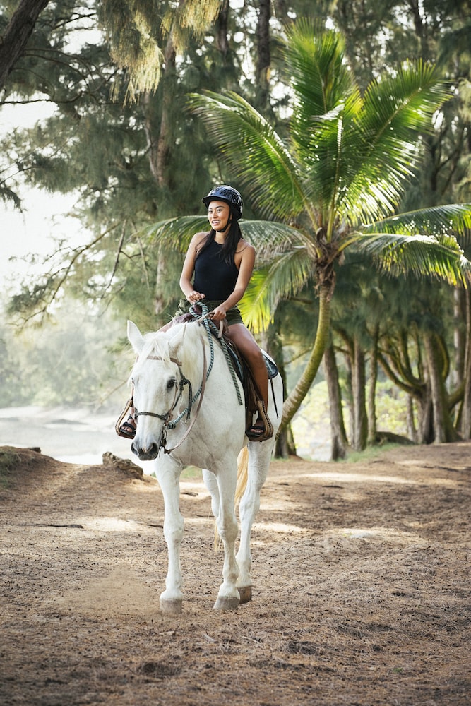 Horseback riding, Turtle Bay Resort