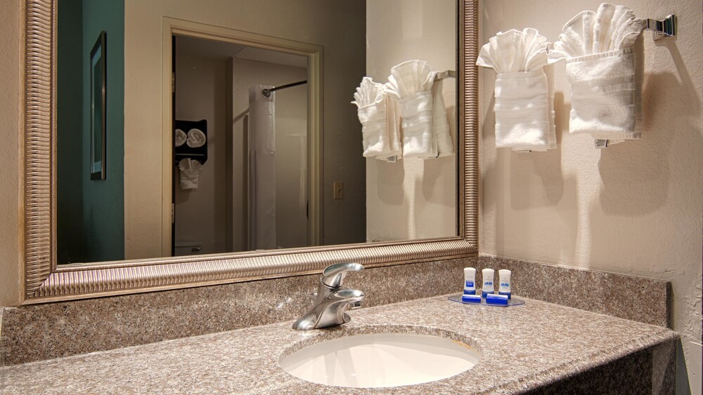 Bathroom, Best Western Plus O'Hare International South Hotel