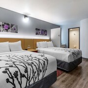 pet friendly hotels in hayden idaho