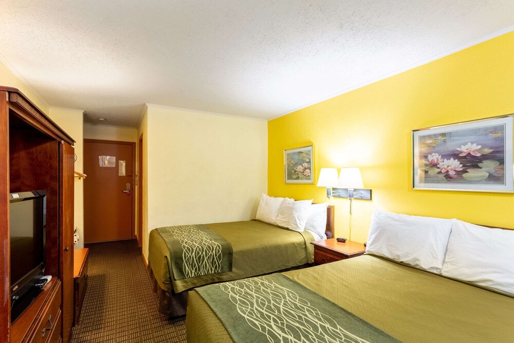 Room, Econo Lodge