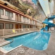 Top 10 Pet Friendly Hotels In Lethbridge Ab 49 Dog Cat