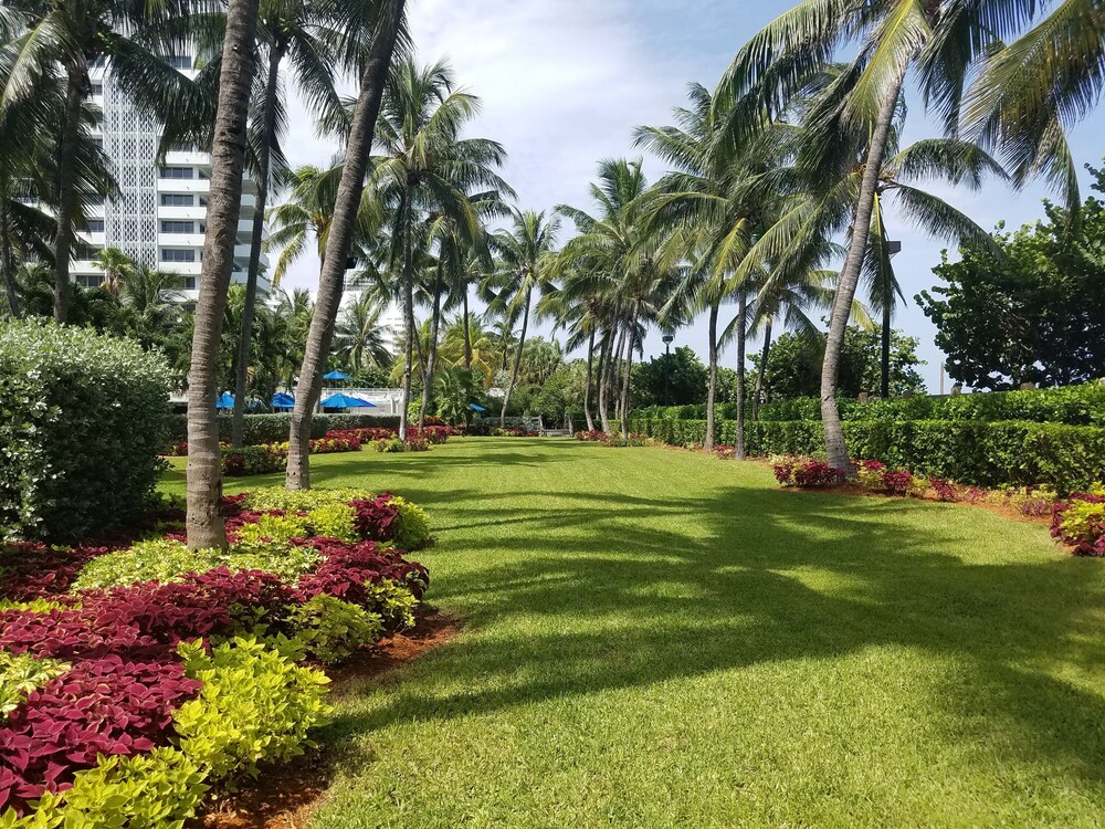 Holiday Inn Miami Beach - Oceanfront in Miami Beach, FL ...