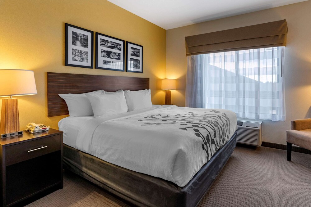 Room, Sleep Inn & Suites Miles City