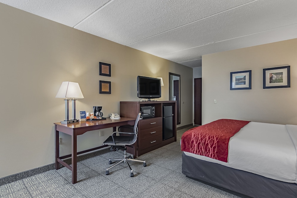 Comfort Inn Madison - Downtown