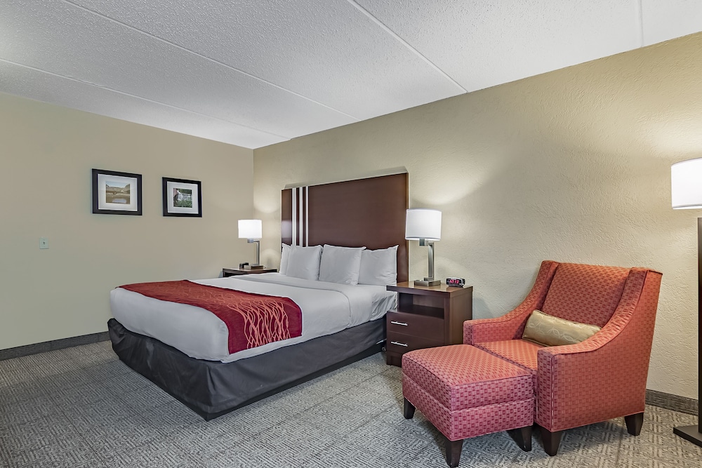 Comfort Inn Madison - Downtown