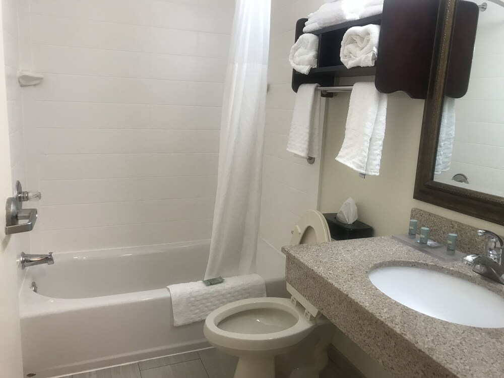 Bathroom, Regency Inn & Suites