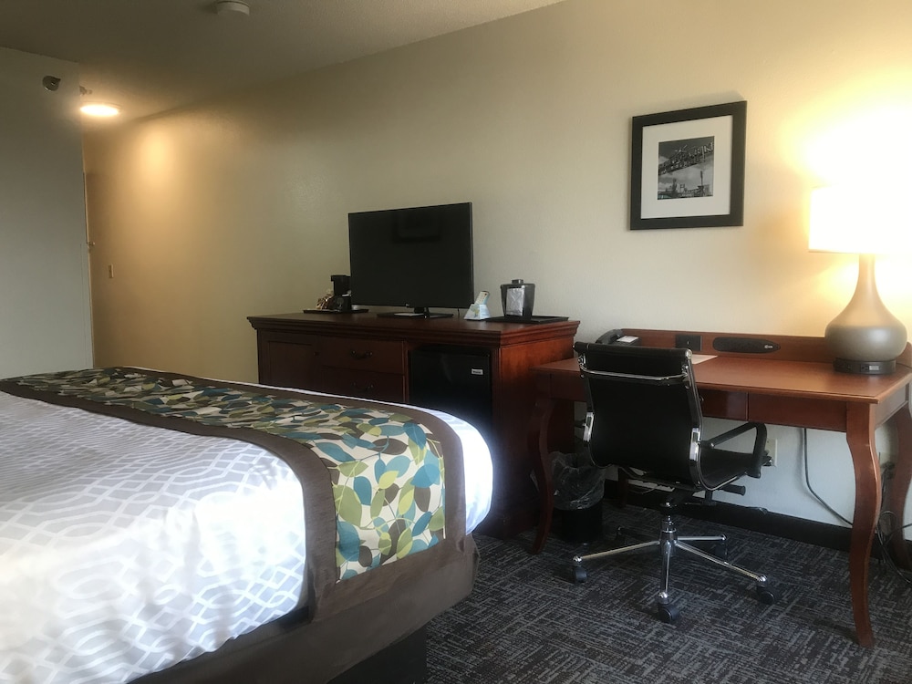 Room, Regency Inn & Suites