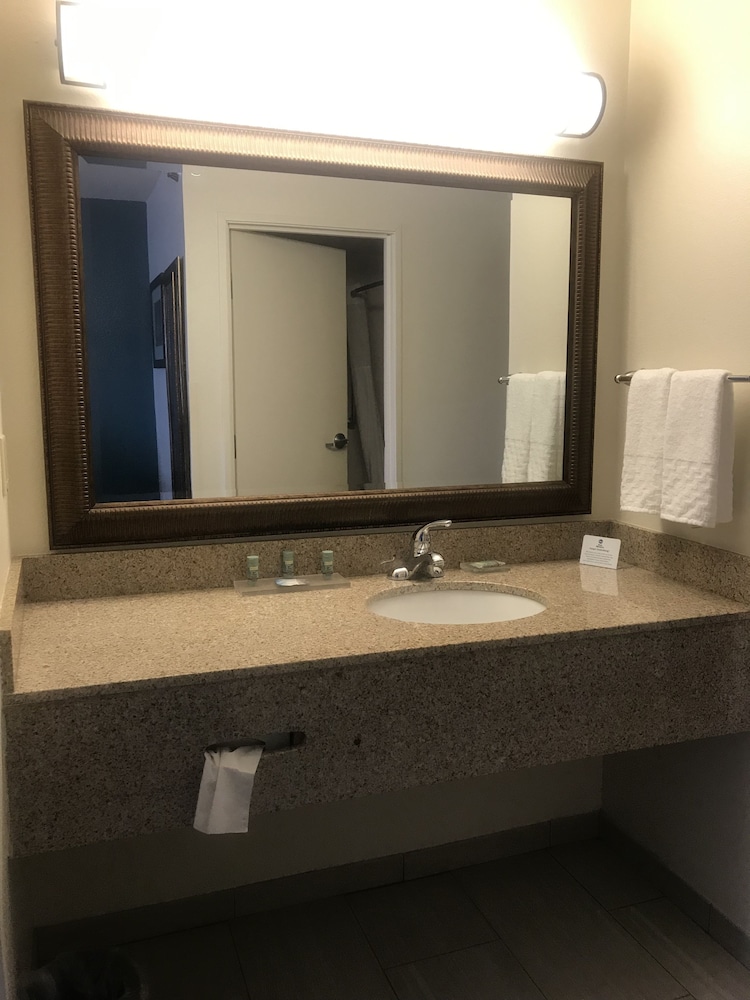 Bathroom, Regency Inn & Suites