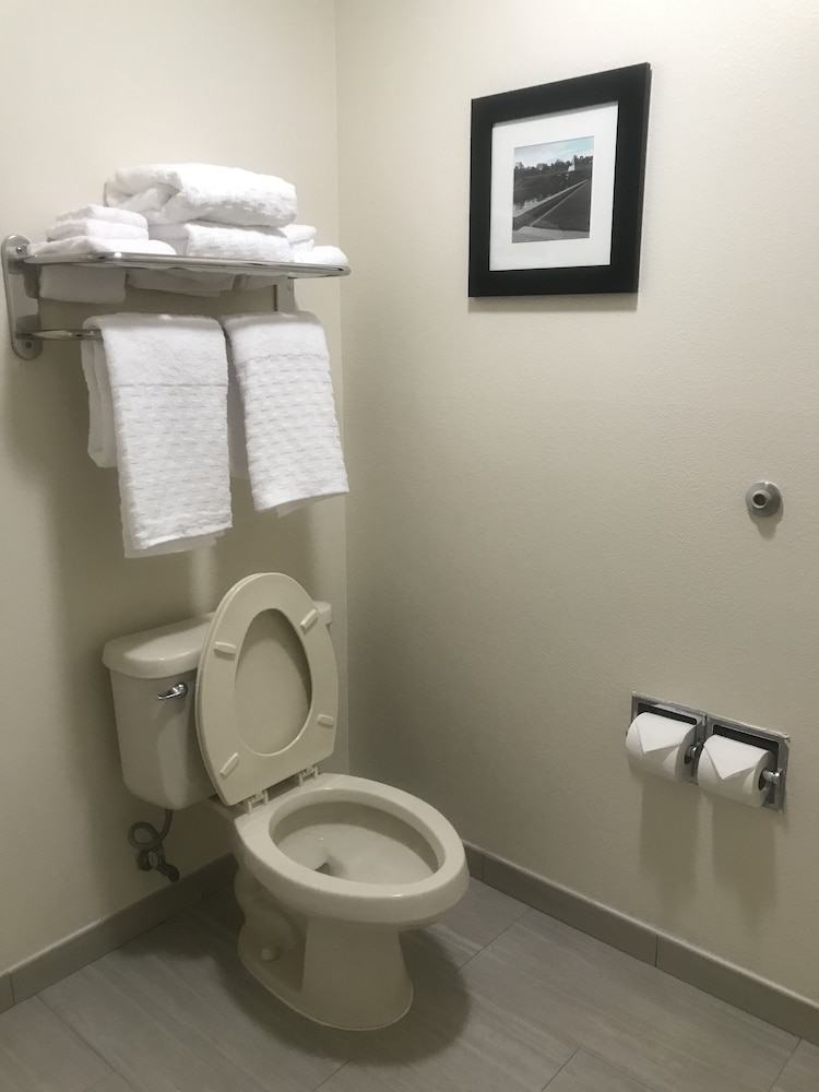 Bathroom, Regency Inn & Suites