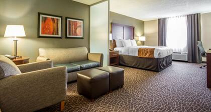 Comfort Inn & Suites Kannapolis - Concord