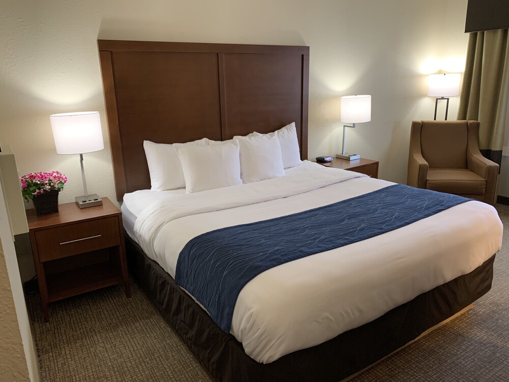 Room, Comfort Inn South