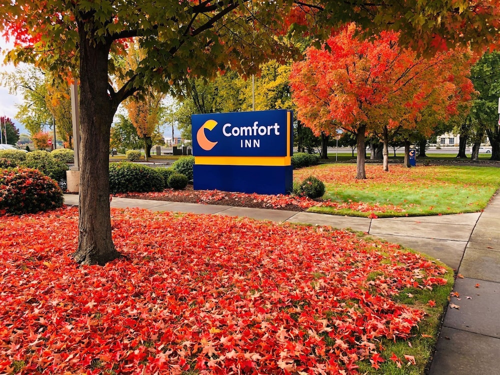 Comfort Inn South In Medford Hotel Rates Reviews On Orbitz