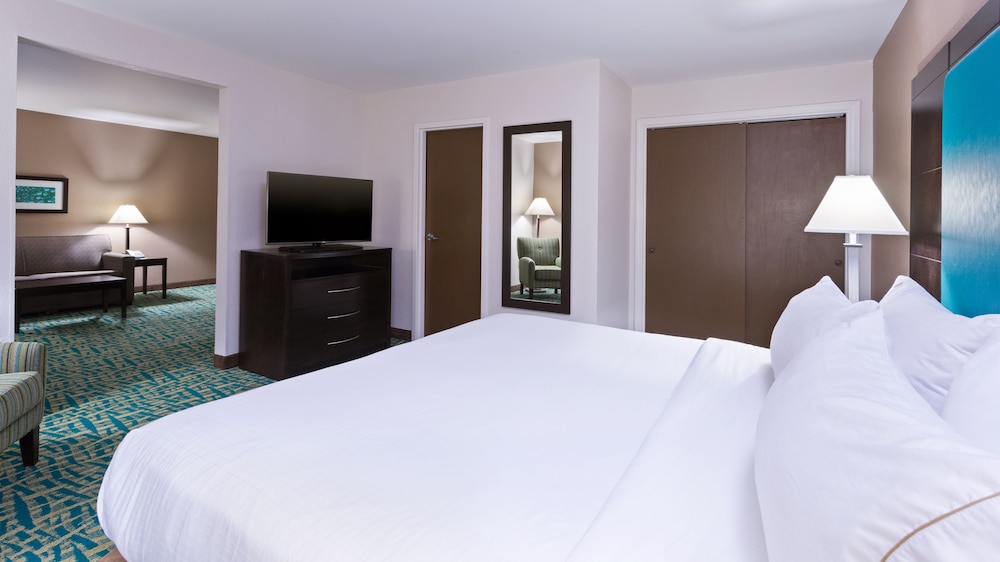 Holiday Inn Express & Suites Wyomissing, an IHG Hotel