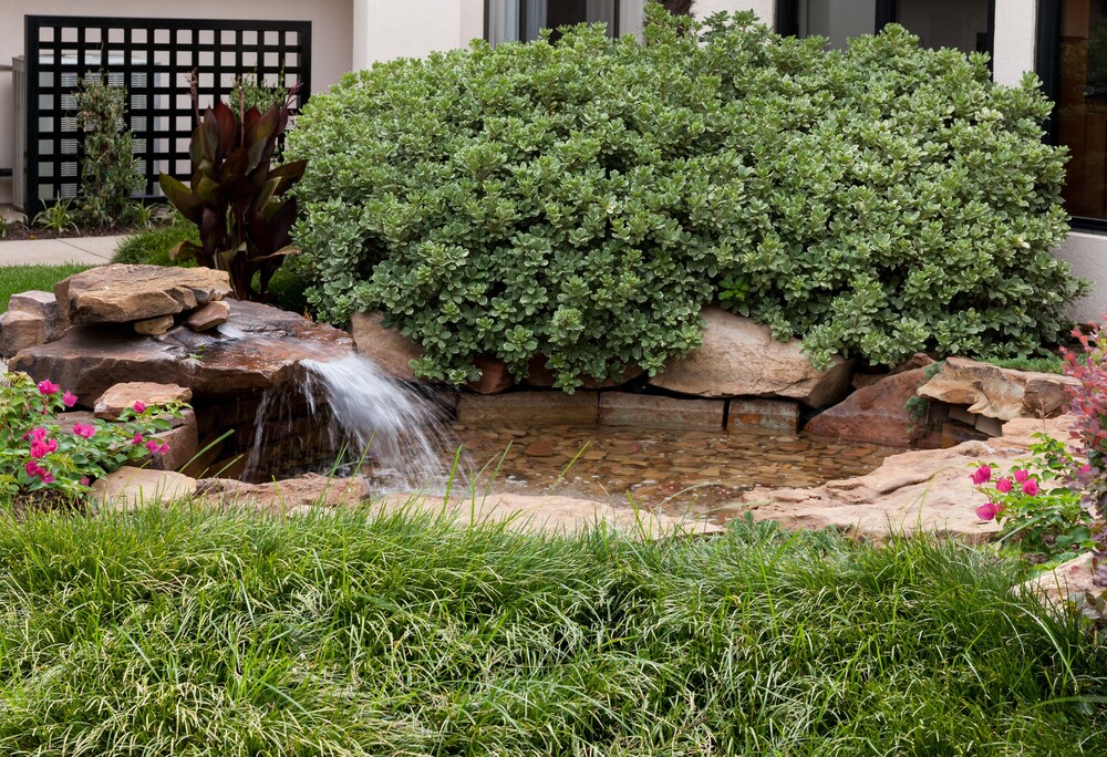 Garden, Courtyard by Marriott Waco