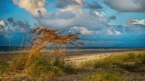 On the beach, free beach shuttle, sun loungers, beach umbrellas
