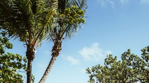 Plage, sable blanc, cabines gratuites, chaises longues