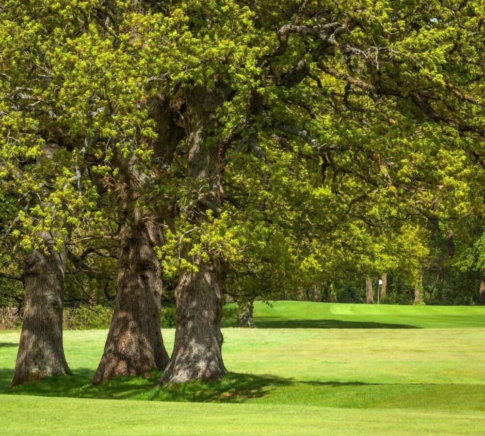 Meon Valley Hotel, Golf & Country Club