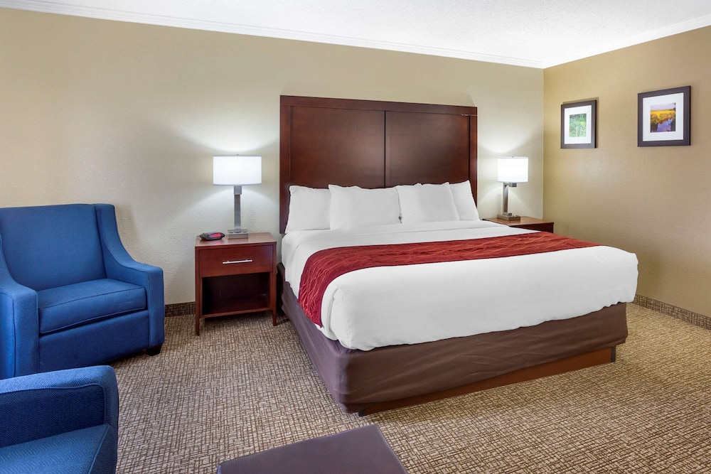 Comfort Inn Hoffman Estates - Schaumburg