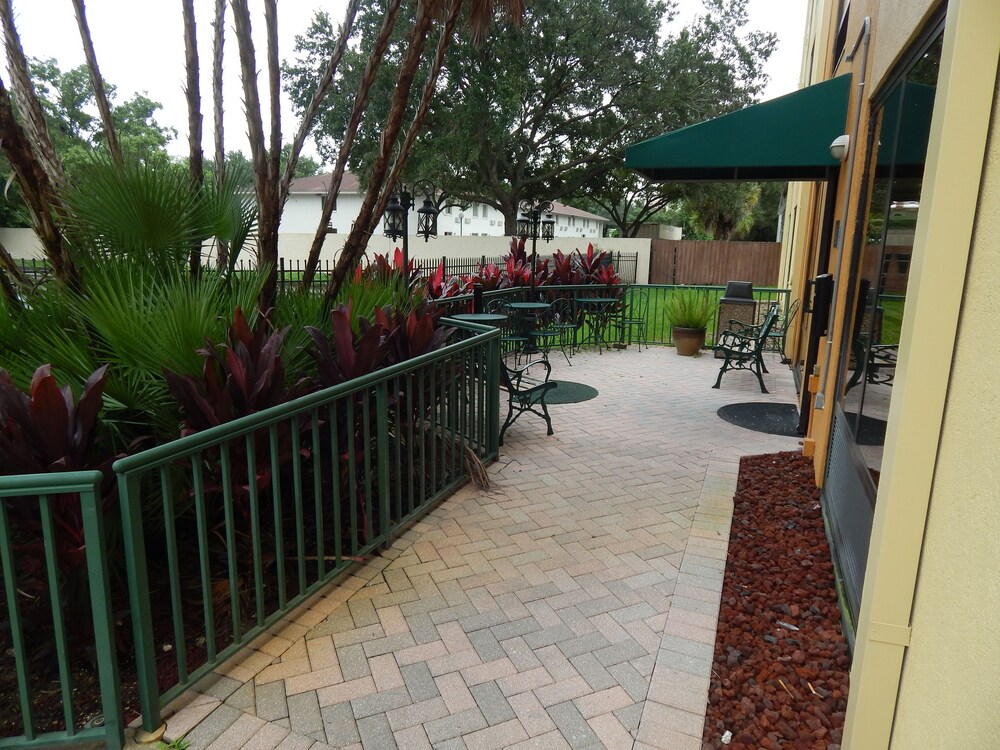 Comfort Suites Tampa - Brandon