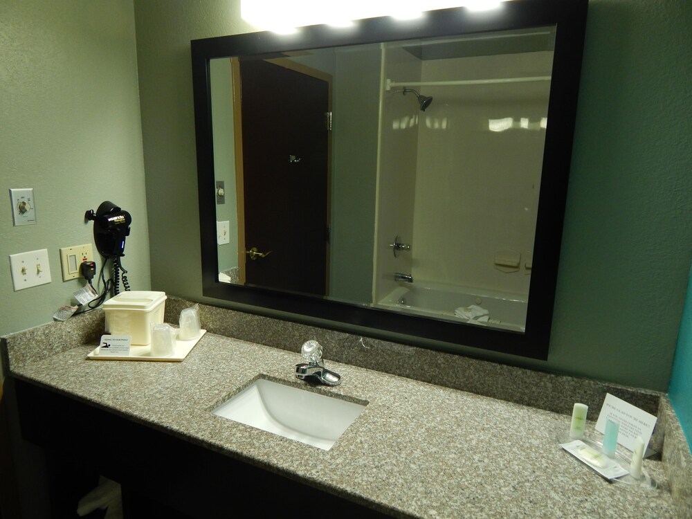 Comfort Suites Tampa - Brandon