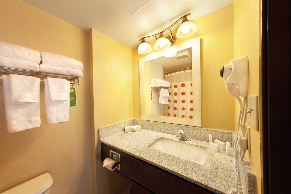 Bathroom, TownePlace Suites by Marriott Wilmington Newark/Christiana