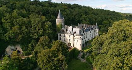 Chateau de Chissay