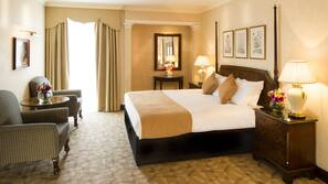 Minibar, in-room safe, desk, iron/ironing board