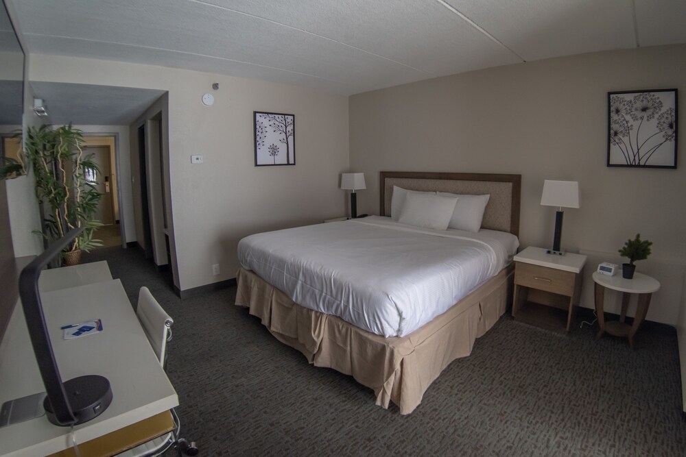 Room, Baymont by Wyndham Shakopee