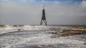 Tæt på stranden, fiskeri