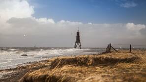 Tæt på stranden, fiskeri