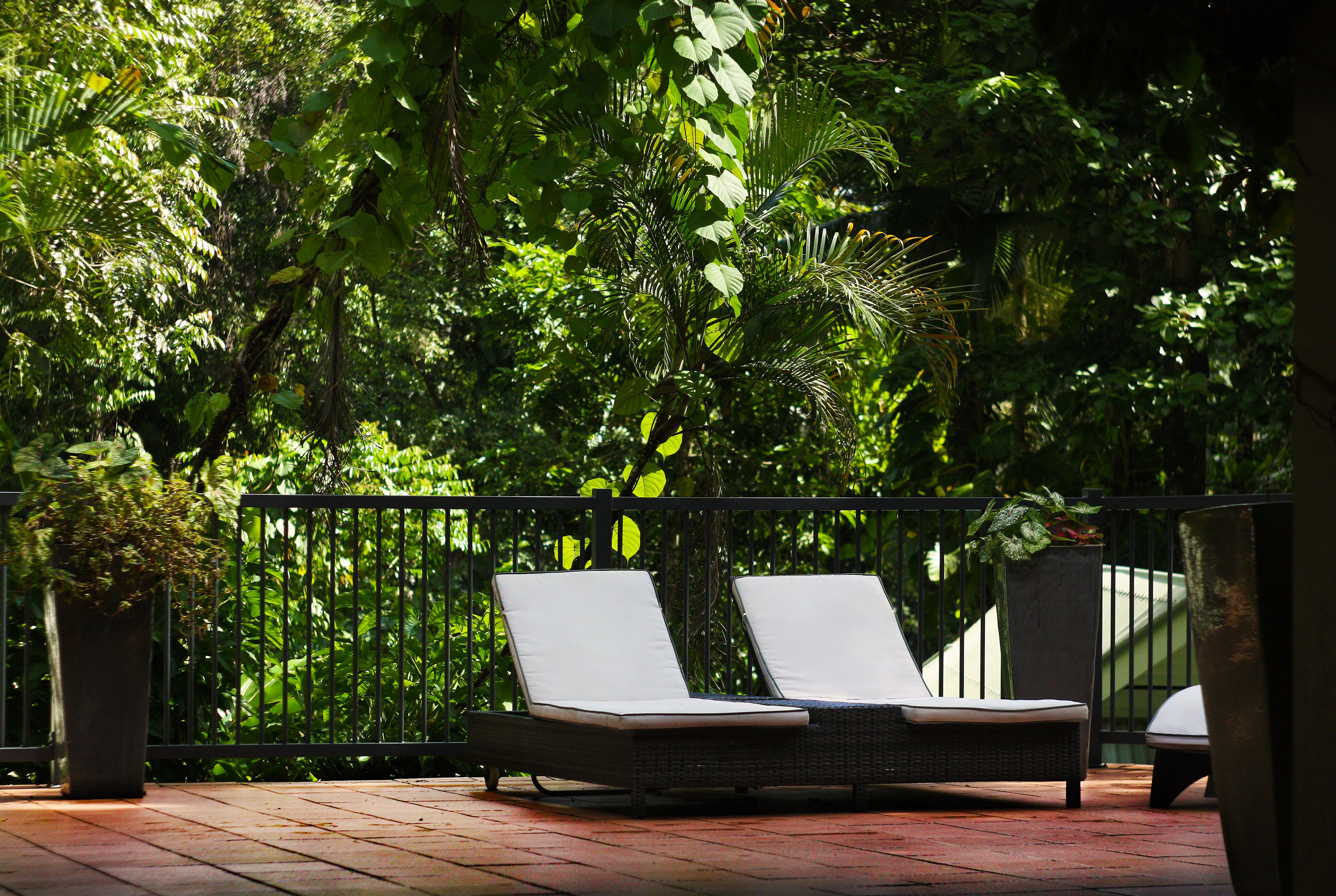 Outdoor pool, pool loungers