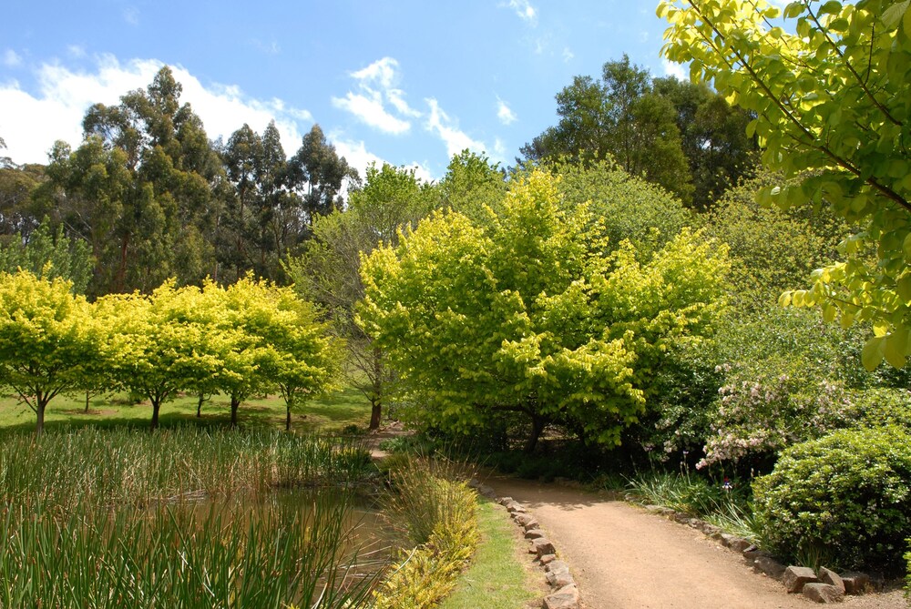 Lancemore Lindenderry Red Hill