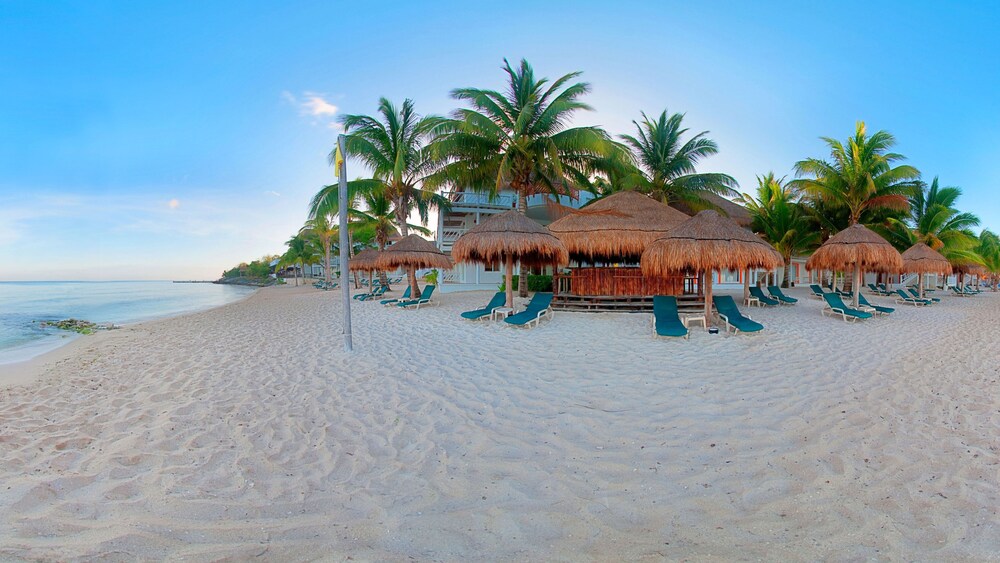 Sunscape Sabor Cozumel All Inclusive  Cozumel   185 Room Prices