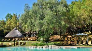 Una piscina al aire libre, tumbonas