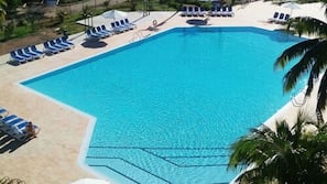 Outdoor pool, sun loungers