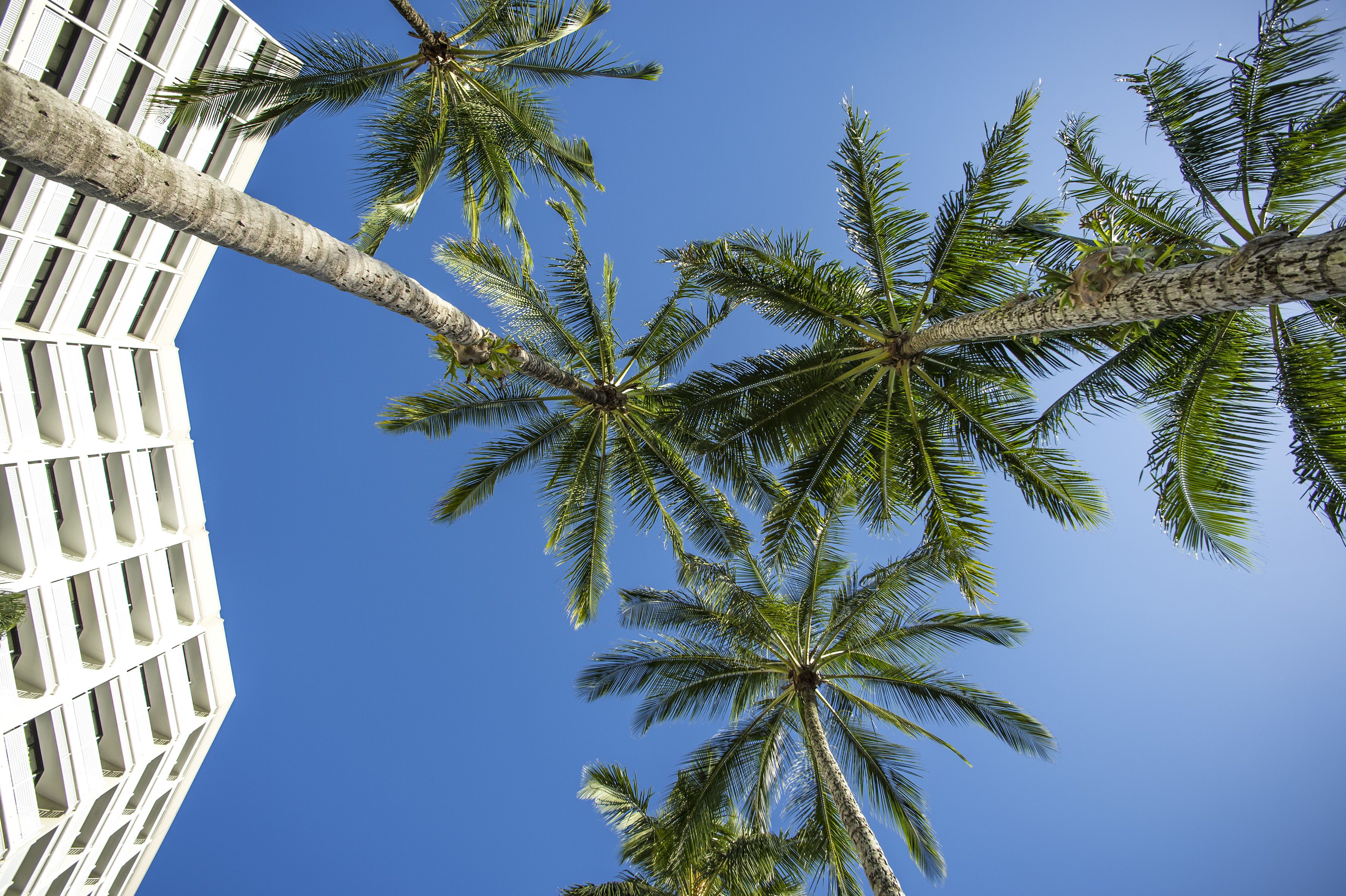 Rydges Esplanade Resort Cairns