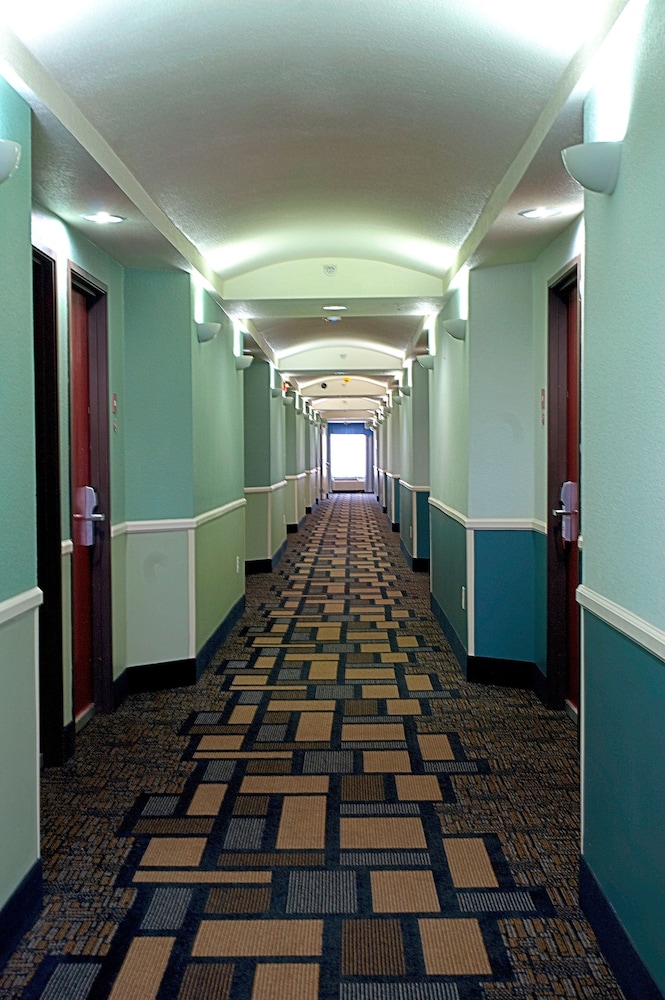 Hallway, Super 8 by Wyndham Irving/DFW Apt/North