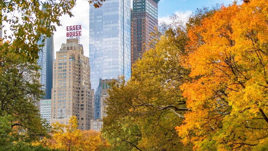 JW Marriott Essex House New York