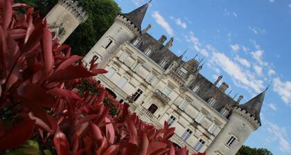 Château de Nieuil