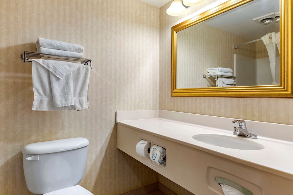 Bathroom, Quality Inn & Suites