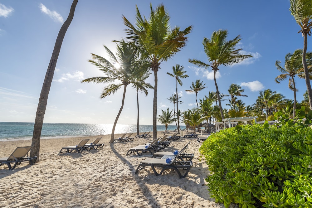 Catalonia Punta Cana All Inclusive in Punta Cana Best Rates & Deals on Orbitz