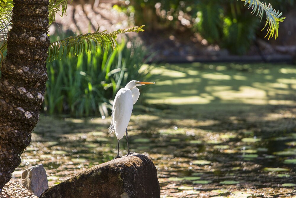 Oaks Sunshine Coast Oasis Resort