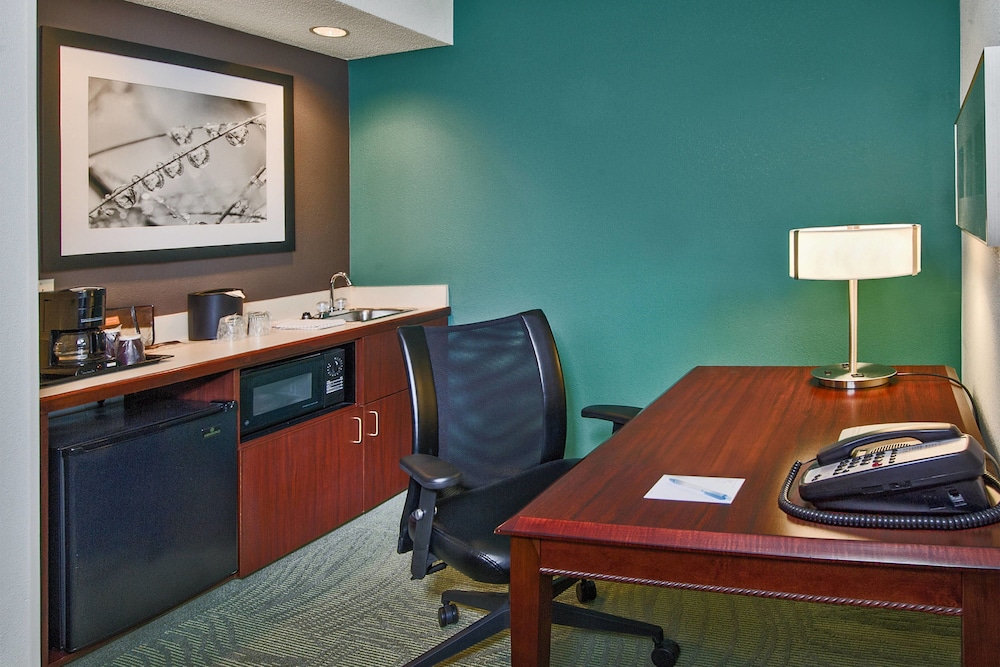 SpringHill Suites by Marriott Raleigh-Durham Airport/Research Triangle Park