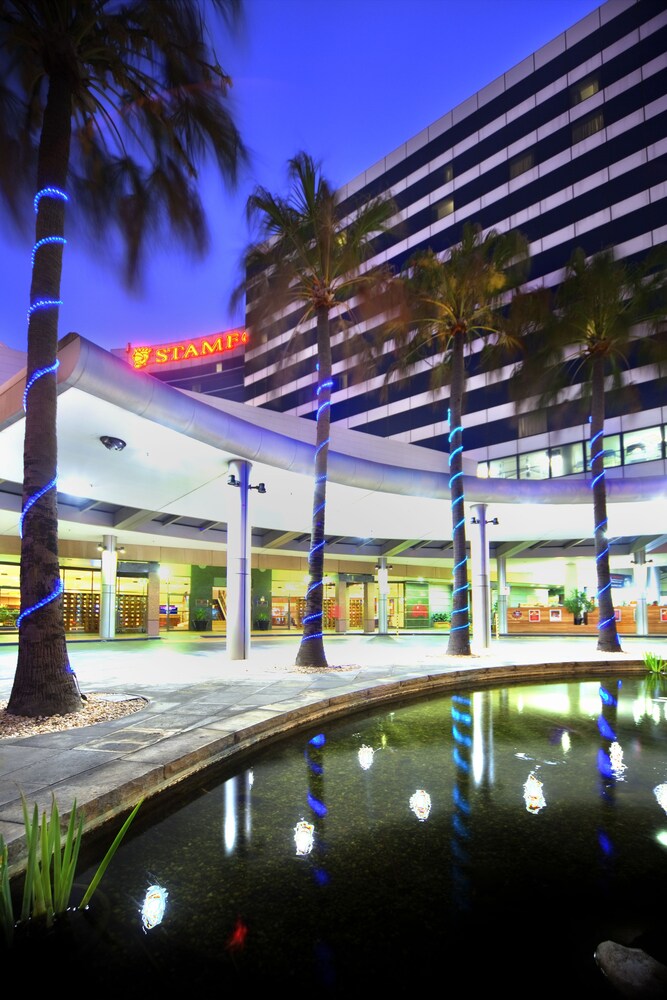 Front of property - evening/night, Stamford Plaza Sydney Airport Hotel & Conference Centre