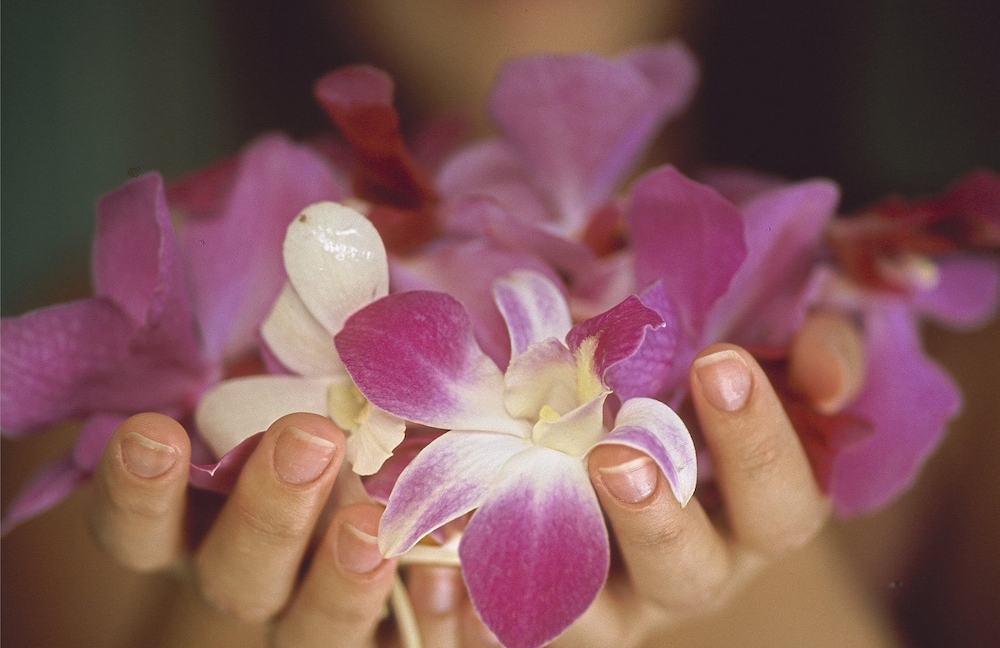 Spa treatment, Hilton Cardiff