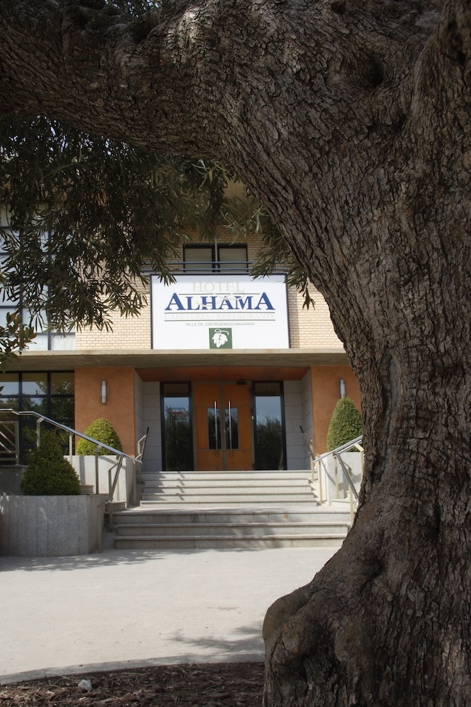 Imagen de HOTEL ALHAMA (11 de 26)